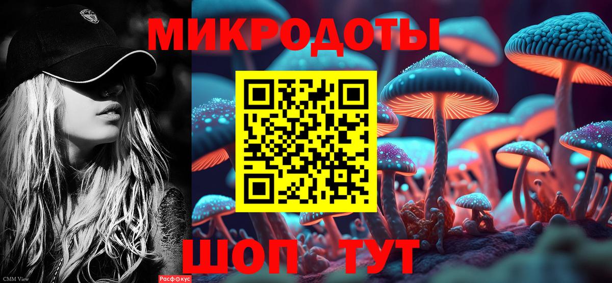 Псилоцибиновые грибы Cubensis Юрга