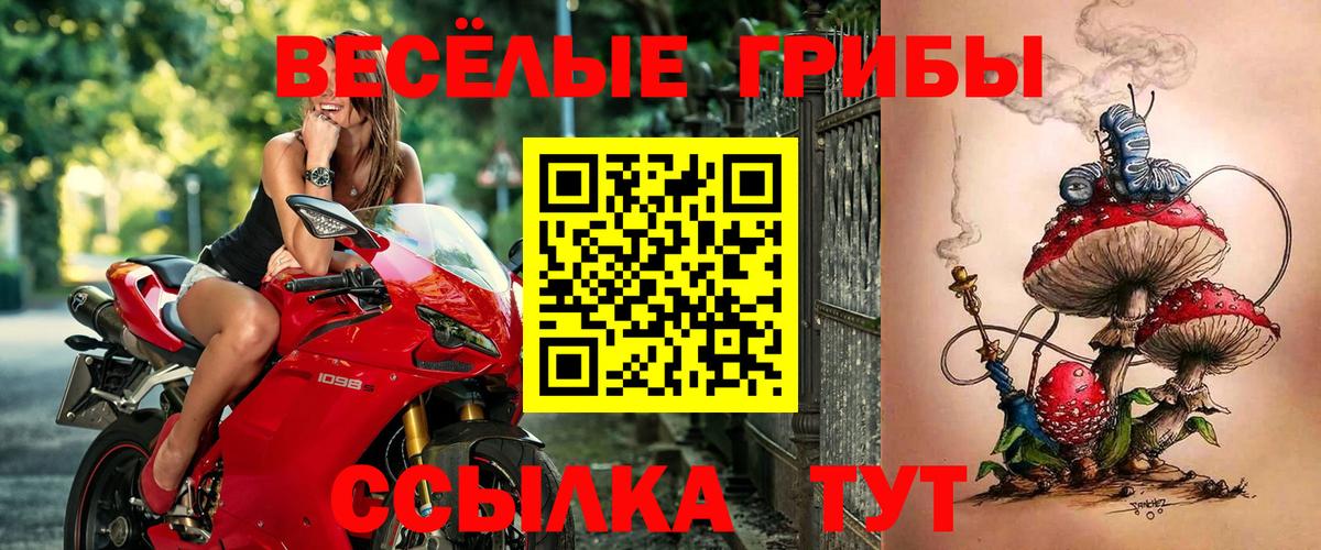 хочу наркоту  Псилоцибиновые грибы MAGIC MUSHROOMS  Юрга  Вход с VPN  Галлюциногенные грибы GOLDEN TEACHER 